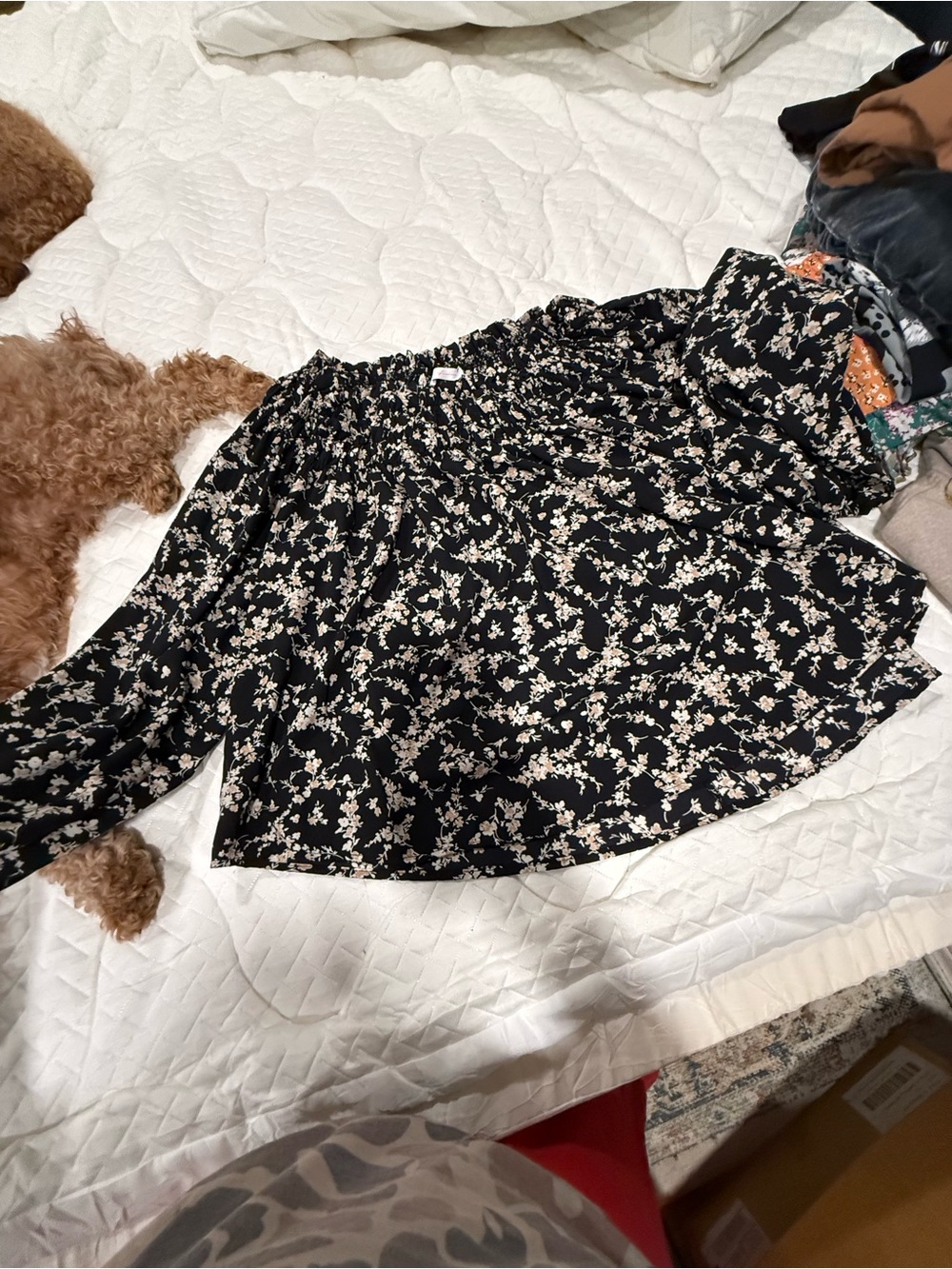 Ces Femme Black Floral Off-Shoulder Blouse